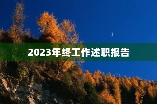 2023年终工作述职报告