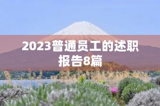2023普通员工的述职报告8篇
