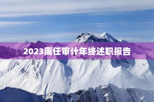2023离任审计年终述职报告