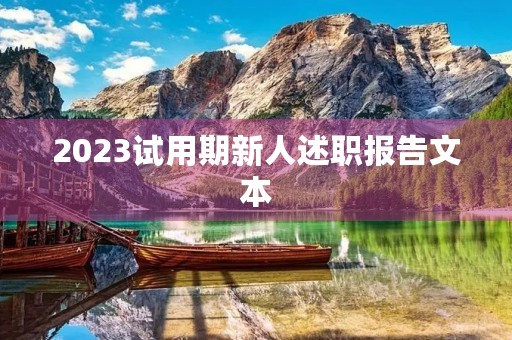 2023试用期新人述职报告文本
