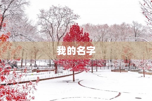 我的名字
