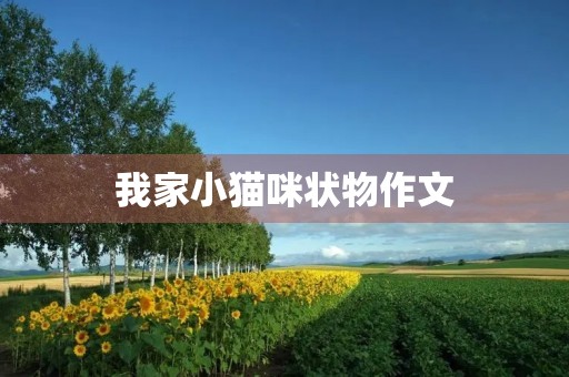 我家小猫咪状物作文