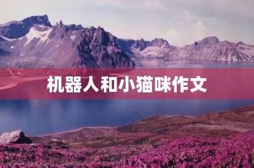 机器人和小猫咪作文