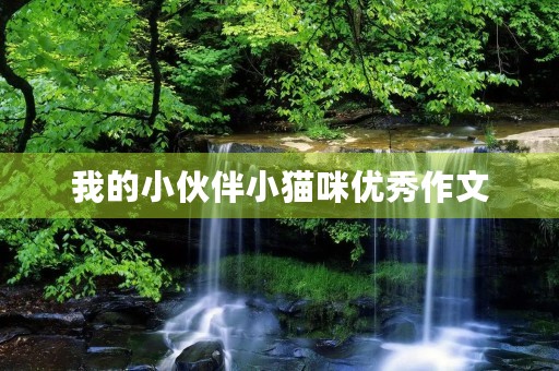 我的小伙伴小猫咪优秀作文