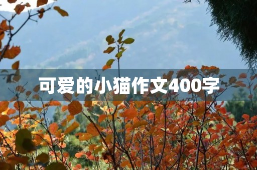 可爱的小猫作文400字