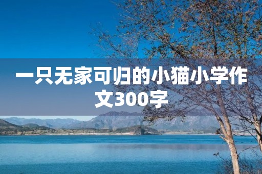 一只无家可归的小猫小学作文300字