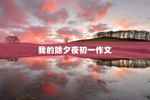我的除夕夜初一作文