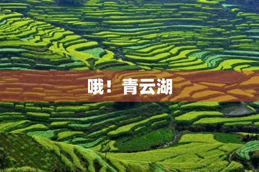 哦！青云湖