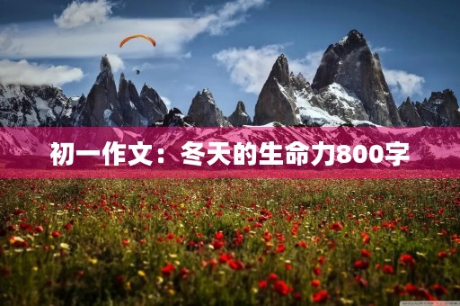 初一作文：冬天的生命力800字