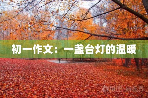 初一作文：一盏台灯的温暖