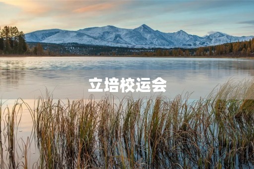 立培校运会
