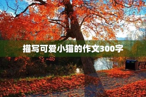 描写可爱小猫的作文300字