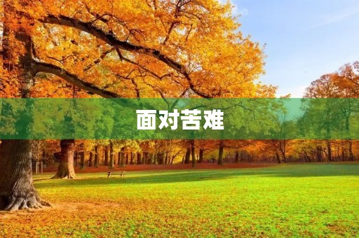 面对苦难
