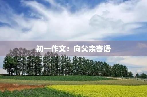 初一作文：向父亲寄语
