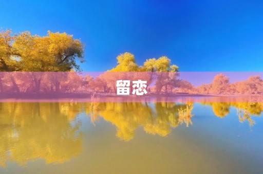 留恋