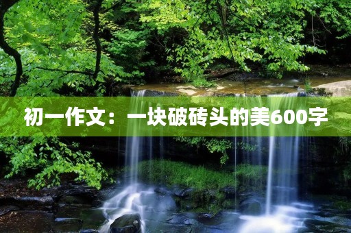 初一作文：一块破砖头的美600字