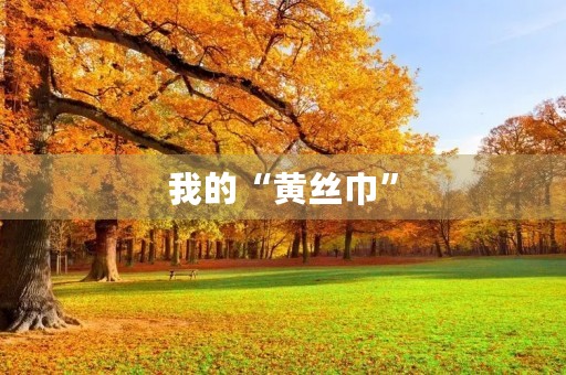 我的“黄丝巾”