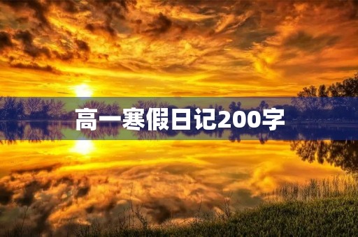 高一寒假日记200字