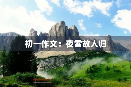 初一作文：夜雪故人归