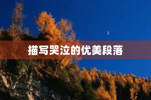 描写哭泣的优美段落 描写哭泣的优美段落