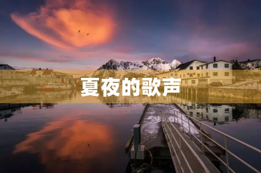 夏夜的歌声