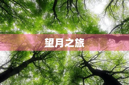 望月之旅