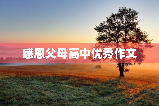 感恩父母高中优秀作文