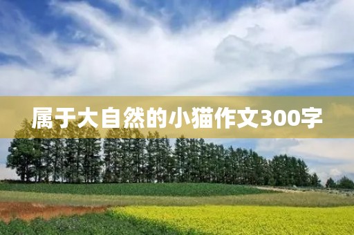 属于大自然的小猫作文300字