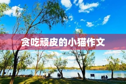 贪吃顽皮的小猫作文