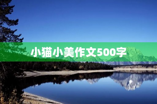 小猫小美作文500字