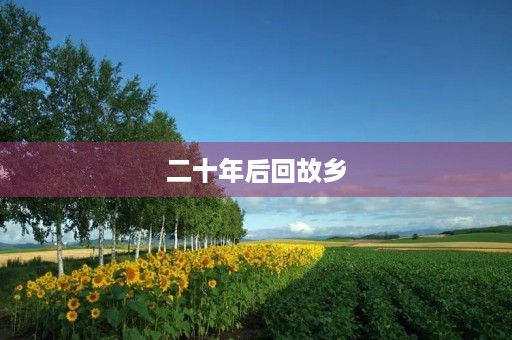 二十年后回故乡