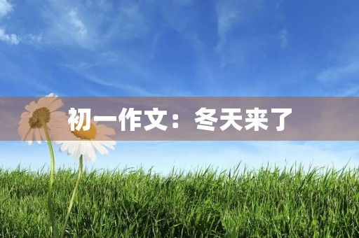 初一作文：冬天来了