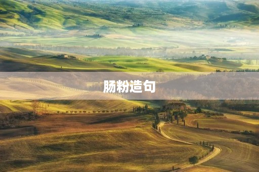 肠粉造句