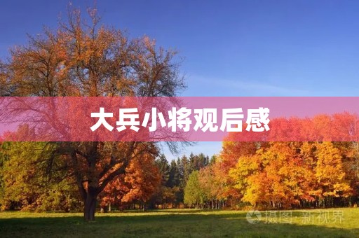 大兵小将观后感