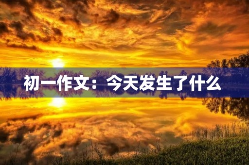 初一作文：今天发生了什么 