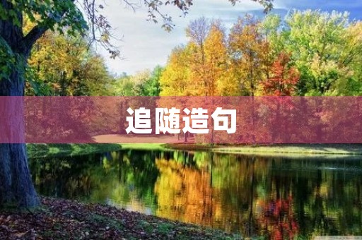 追随造句