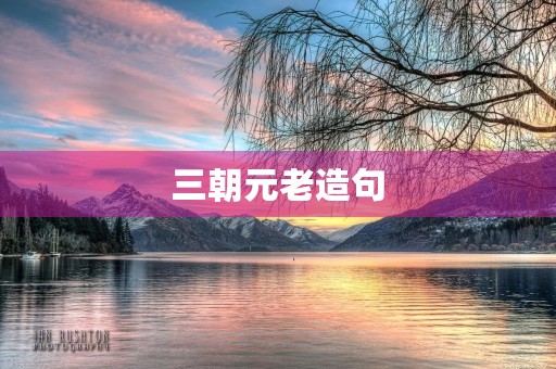 三朝元老造句