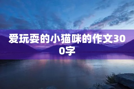 爱玩耍的小猫咪的作文300字