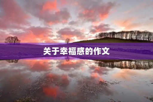 关于幸福感的作文