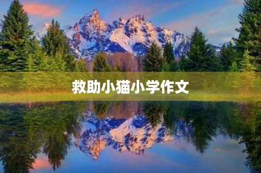 救助小猫小学作文