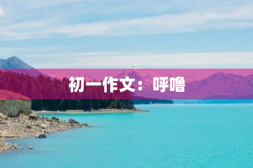 初一作文：呼噜