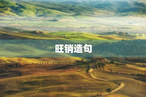 旺销造句