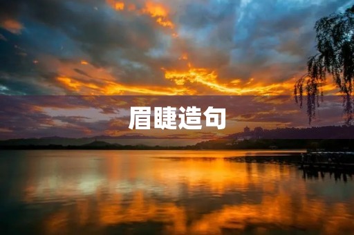 眉睫造句