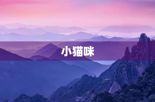 小猫咪 小猫咪