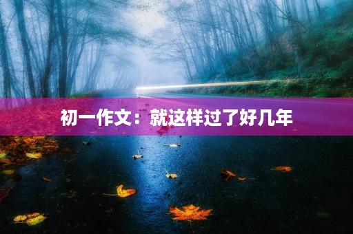 初一作文：就这样过了好几年