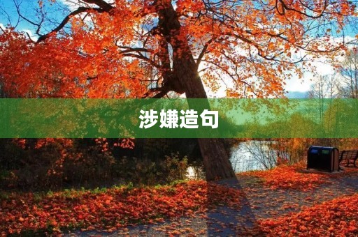 涉嫌造句