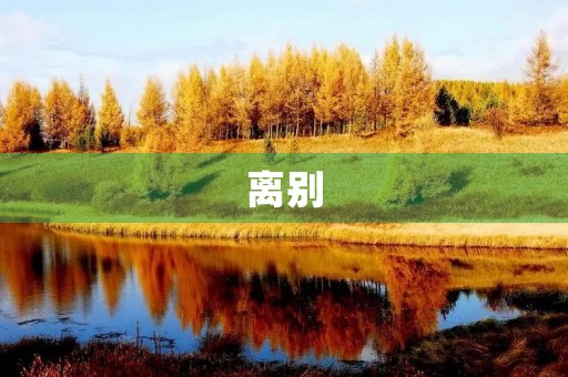 离别