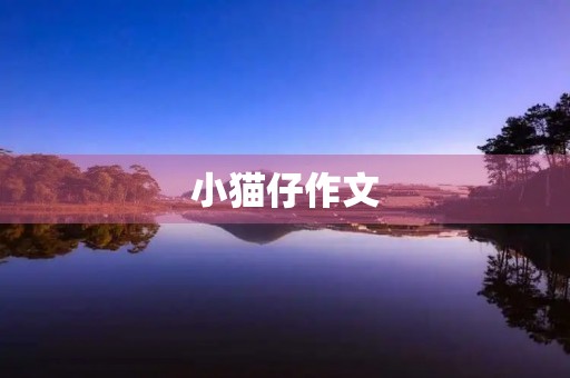 小猫仔作文