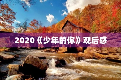 2020《少年的你》观后感