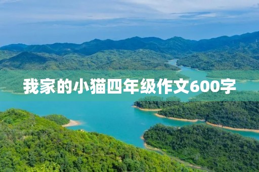 我家的小猫四年级作文600字